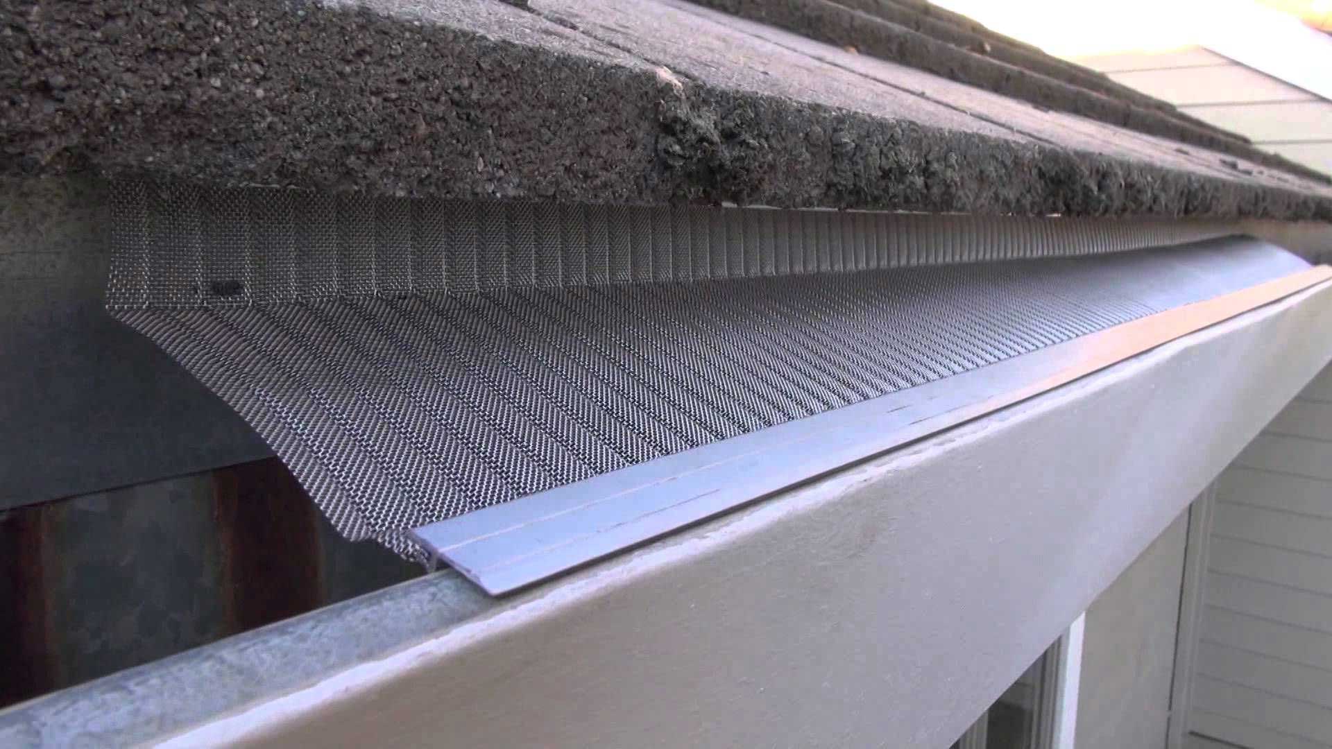 Gutter Installation and Maintenance: Essential Tips for Homeowners